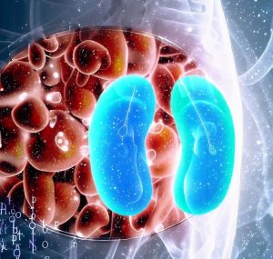 Understanding the Impact: Diabetes and Kidney Health
